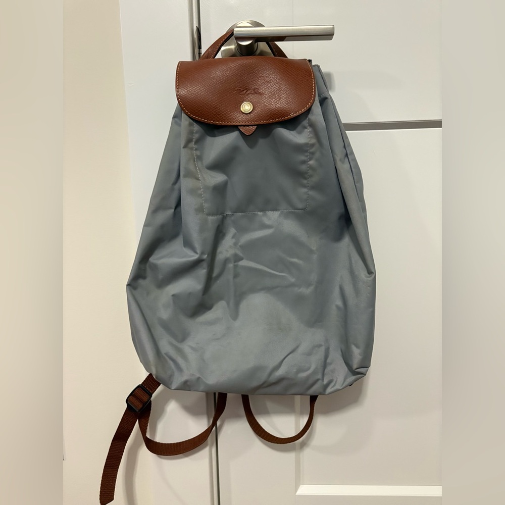 Longchamp Gray and Brown Bag